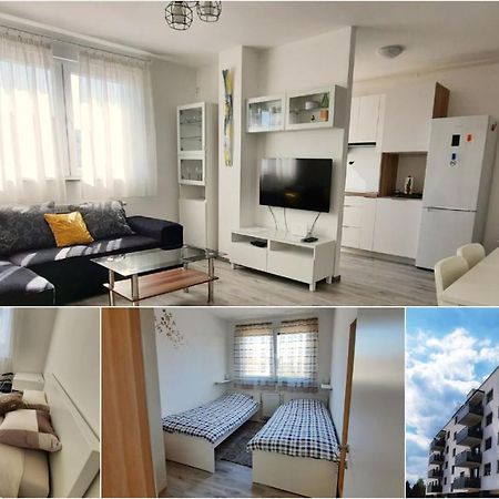 Apartment Mrvica Near The Zagreb Airport Velika Gorica Eksteriør bilde